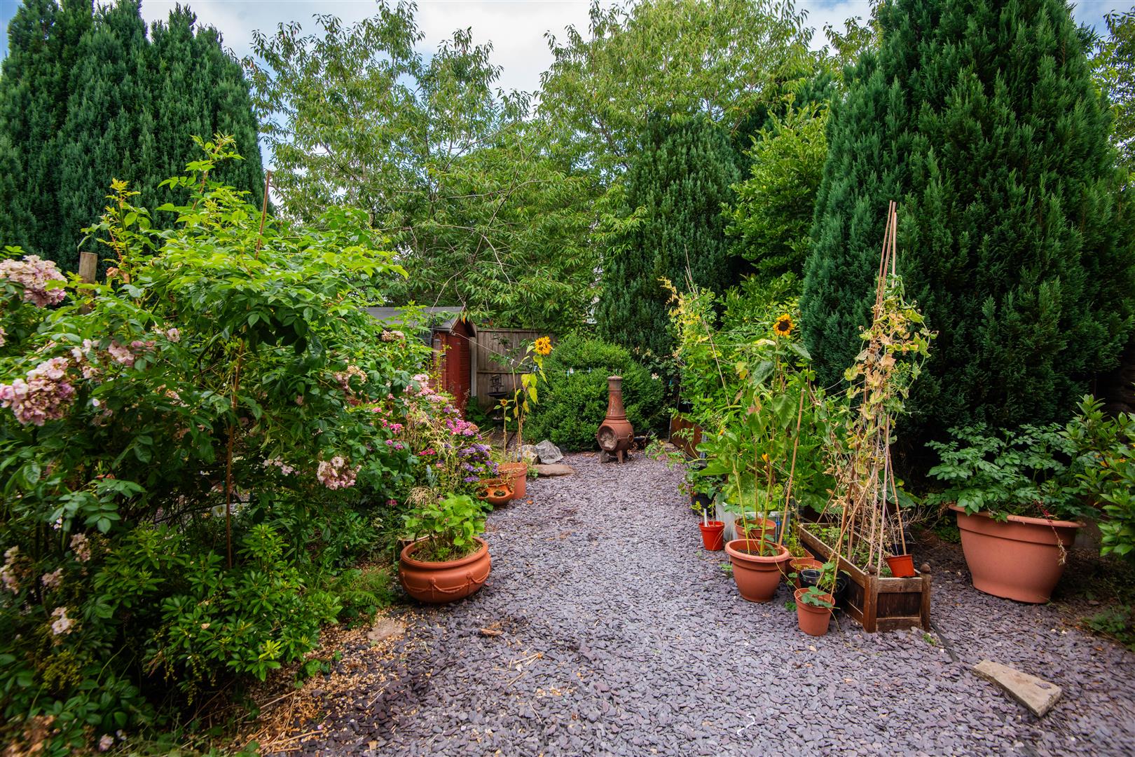 The Avenue, Adlington, Chorley